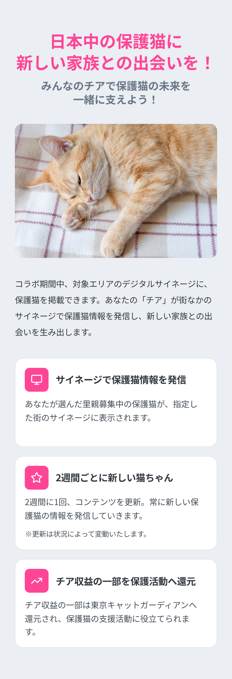 サイネージで保護猫情報を発信／2週間ごとに新しい猫ちゃん／チア収益の30%を保護活動へ還元。
