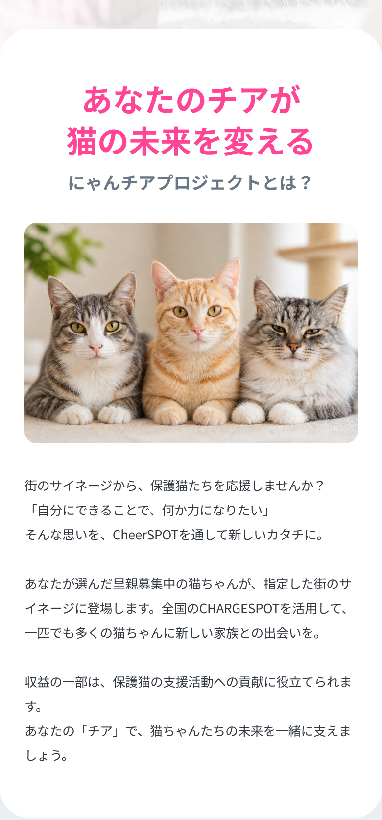 あなたのチアが猫の未来を変える。にゃんチアプロジェクトとは？